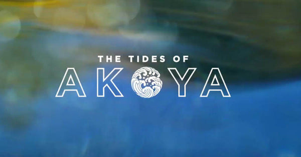 The Tides Of Akoya